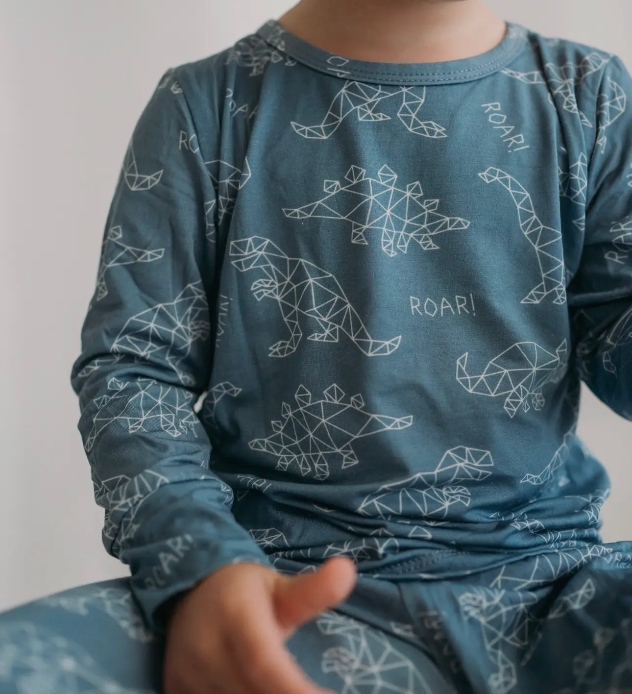 Dino-2 Piece Cozy Bamboo Set