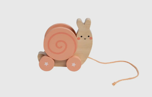 Wooden Snail
