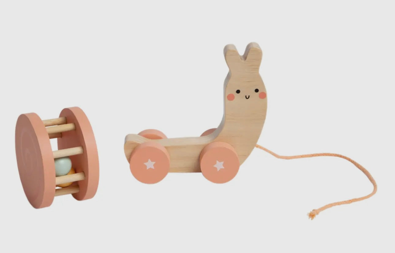 Wooden Snail