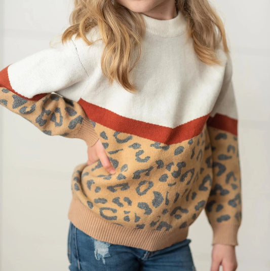 Leopard & Rust V Color Block Crewneck